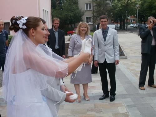 гълъбите в нас