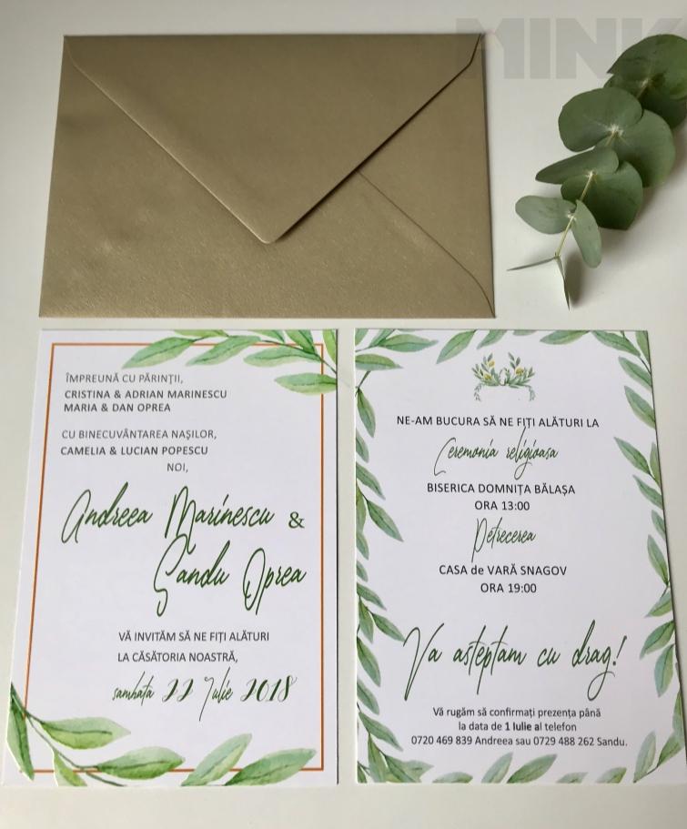Invitatie De Nunta Cu Lauri De Maslin Mink 1365 Invitaţii La Nuntă
